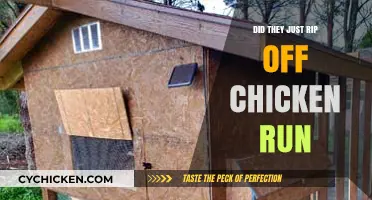 Chicken Run Rip-Off? Analyzing Striking Similarities in Recent Films