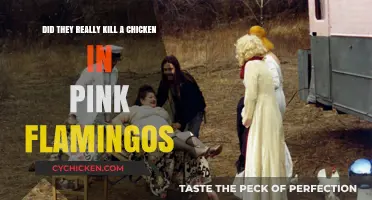 Chicken Killing in Pink Flamingos: Fact or Fiction?