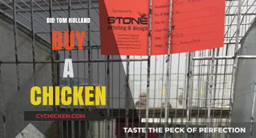 Tom Holland's Chicken Purchase: Fact or Fiction?