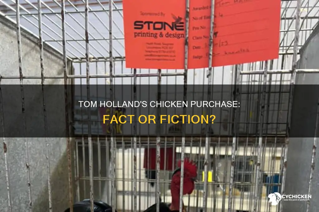 did tom holland buy a chicken