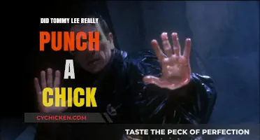 Tommy Lee's Alleged Assault: Unraveling the Truth Behind the Punch