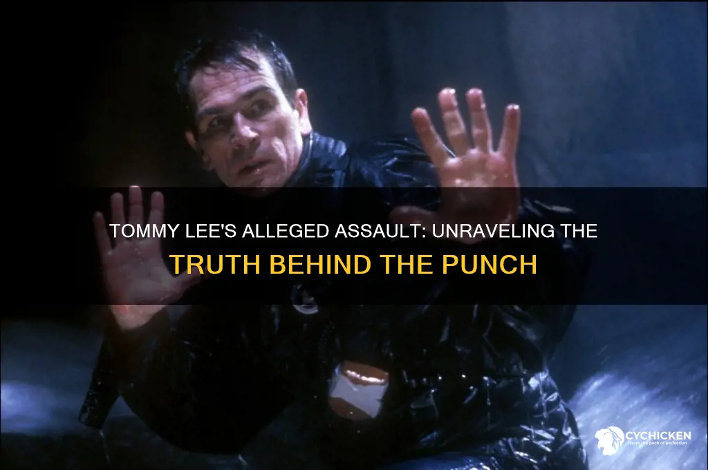 did tommy lee really punch a chick