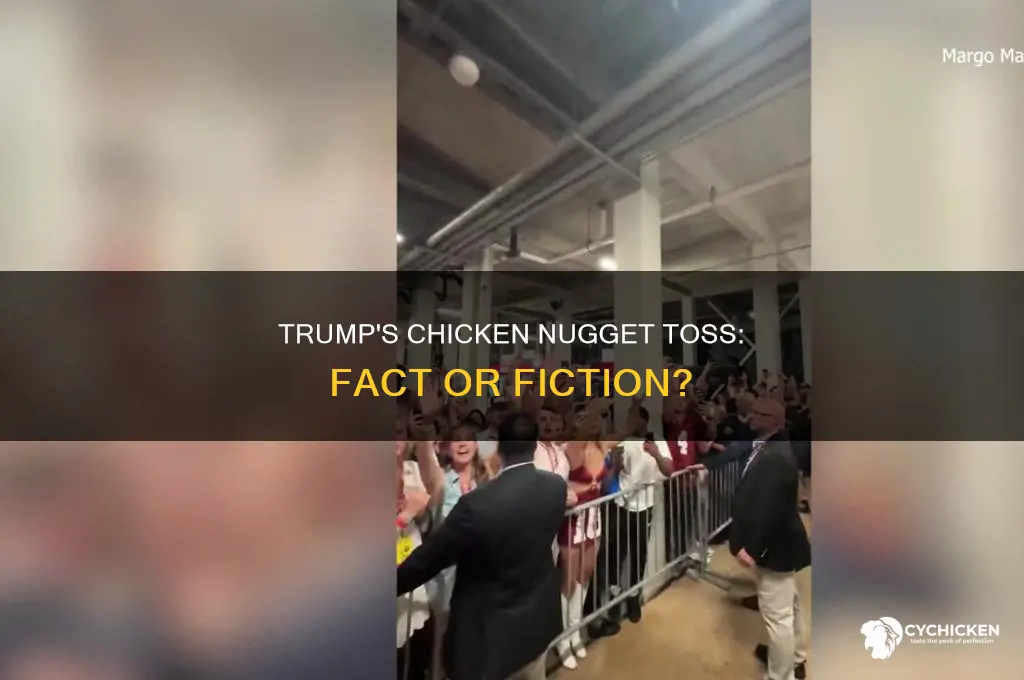 did trump throw chicken nuggets