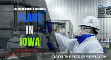 Tyson Chicken Shuts Down Iowa Plant: Causes and Consequences