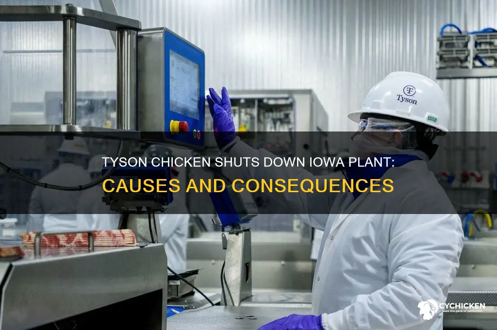 did tyson chicken closing a plant in iowa