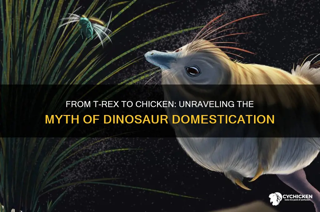 did we domesticate the trex into a chicken