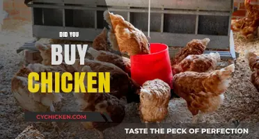 Did You Buy Chicken? A Guide to Smart Poultry Shopping