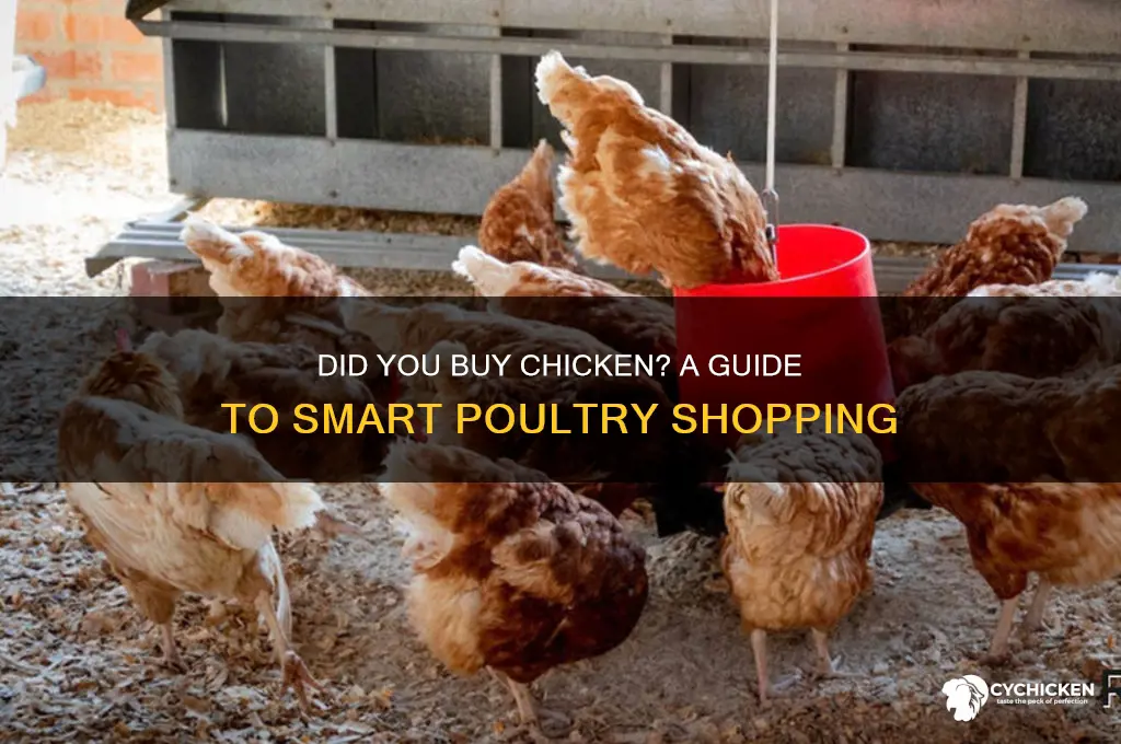 did you buy chicken