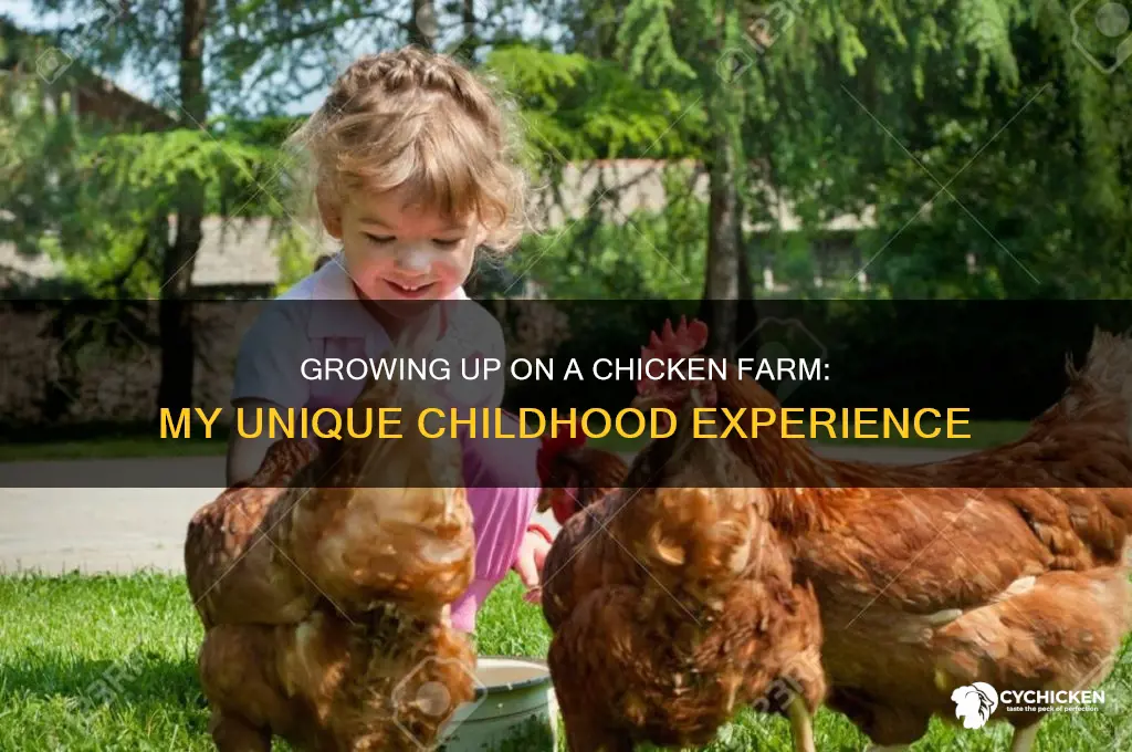 did you grow up in a chicken farm