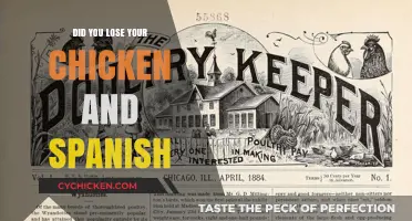 Lost Your Chicken and Spanish? Tips to Regain Control and Mastery