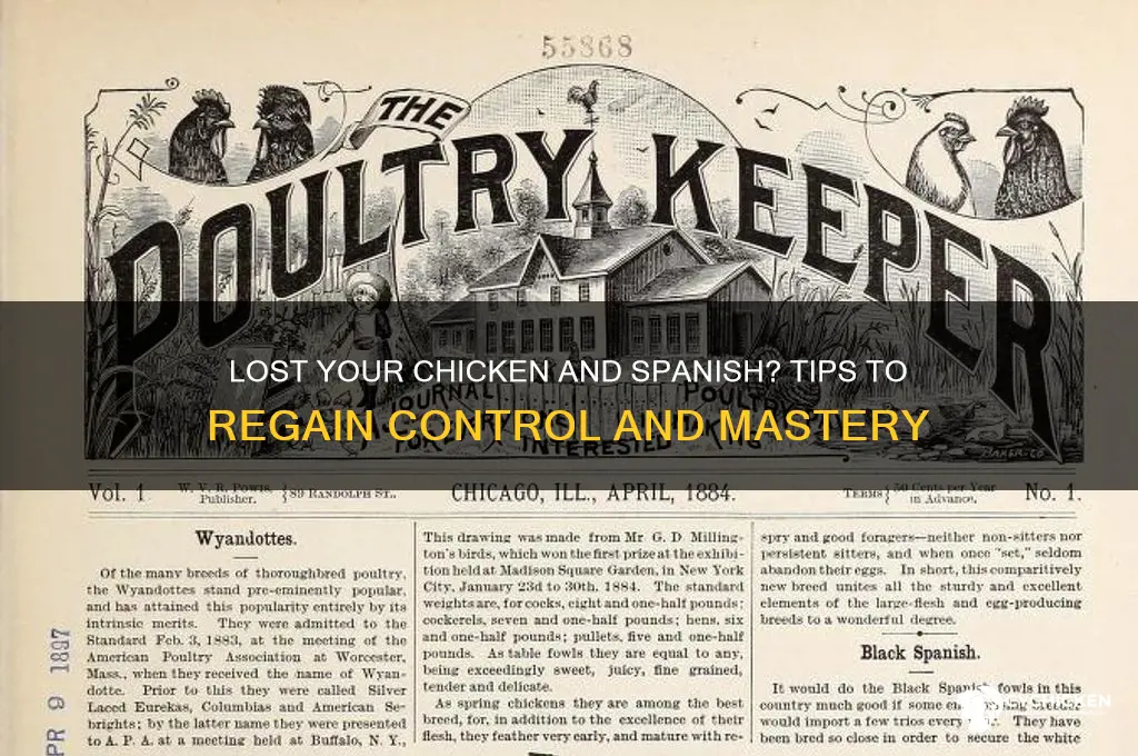 did you lose your chicken and spanish