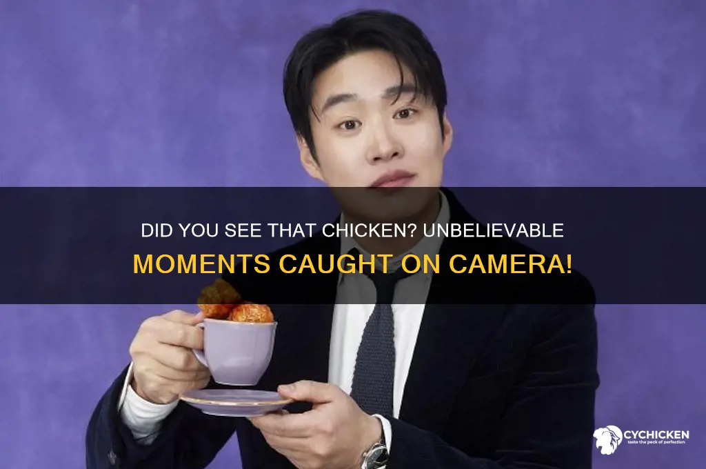 did you see the of that chicke