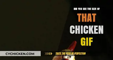 Giant Chicken GIFs: Hilarious Reactions