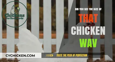 Giant Chicken WAV: What Did You See?