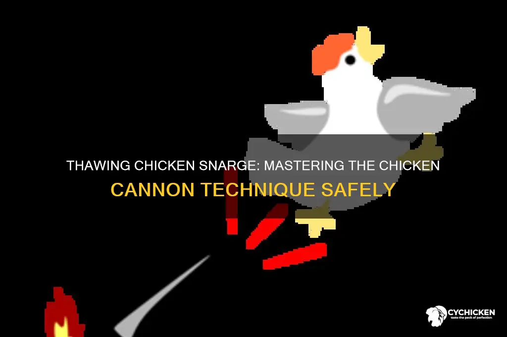 did you thaw the chicken snarge chicken cannon