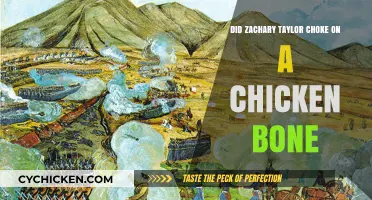 Zachary Taylor's Death: The Chicken Bone Choking Myth Explored
