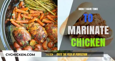 Quick Chicken Fix: No Time to Marinate? No Problem!