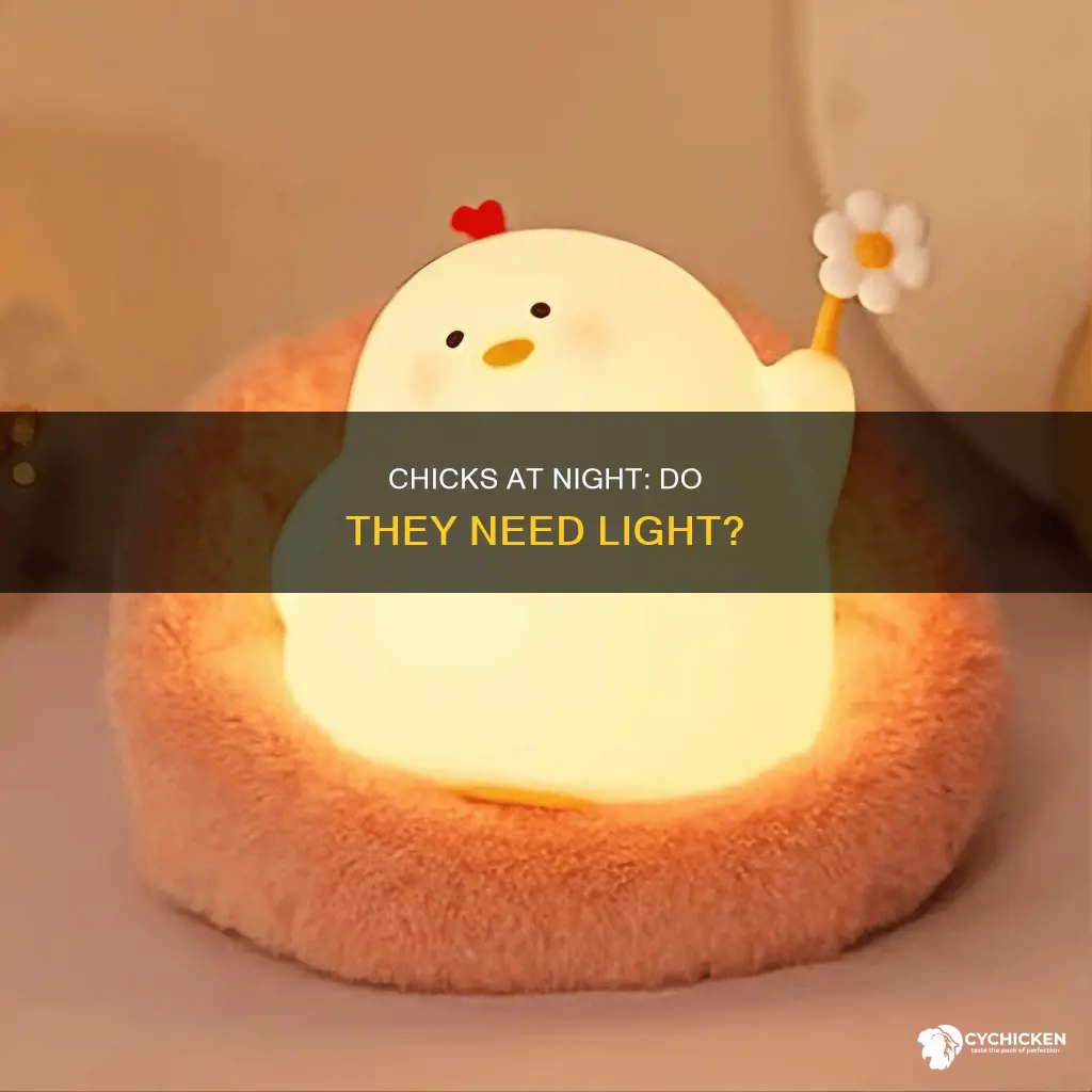 do 2 week old chicks need light at night