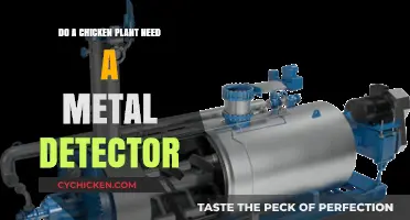 Metal Detectors in Chicken Plants: Essential for Safety and Quality?