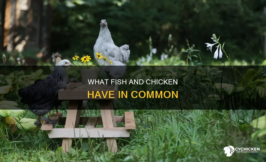 do all fish have does chicken have sodium triphosphate