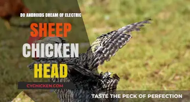 Do Androids Dream of Electric Sheep? Exploring the Chicken Head Mystery