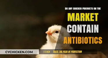 Chicken and Antibiotics: What's in Your Food?