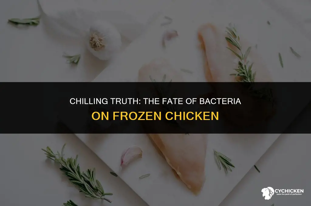 do bacteria die on frozen chicken