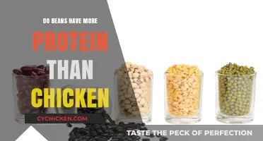 Beans vs. Chicken: Which Protein Source Packs More Punch?