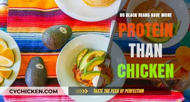 Black Beans vs. Chicken: Which Protein Source Reigns Supreme?