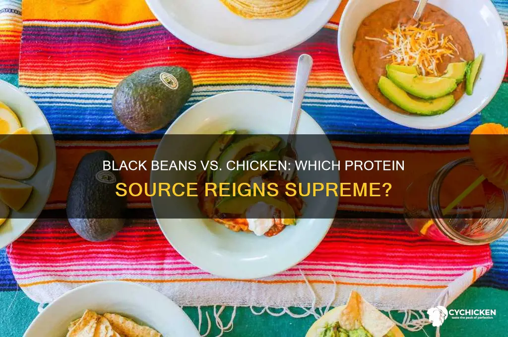 do black beans have more protein than chicken
