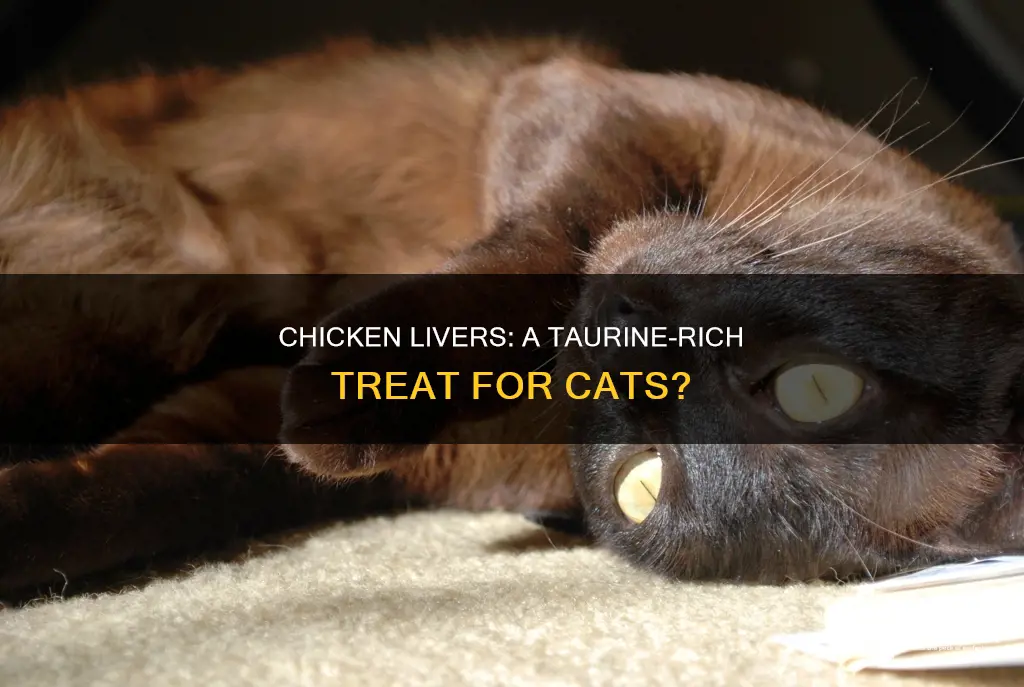 do boiled chicken livers provide recommended taurine for cats