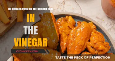 Bubbles on Chicken Bones: The Vinegar Effect Explained