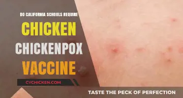 California Schools' Chickenpox Vaccine Requirement: What Parents Need to Know