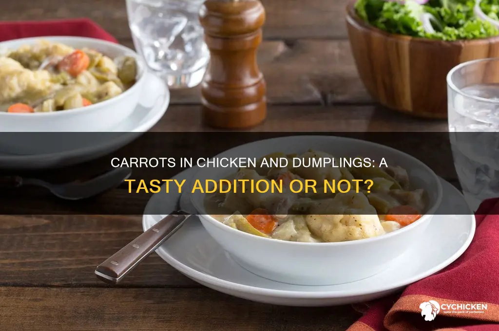 do carrots go in chicken and dumplings