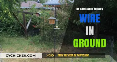 Do Cats Avoid Chicken Wire in Ground? Exploring Feline Behavior