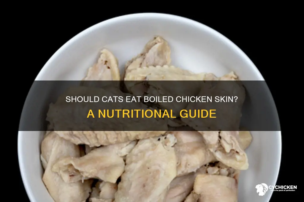 do cats need the skin from boiled chicken