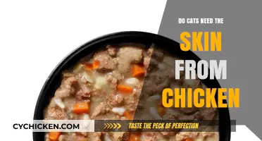 Should Cats Eat Chicken Skin? Benefits, Risks, and Expert Advice