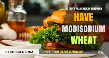 Chick-fil-A Chicken Sandwich: Does It Contain Modified Wheat?