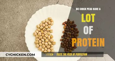 Chickpeas Protein Power: Unlocking Nutritional Benefits in Every Bite