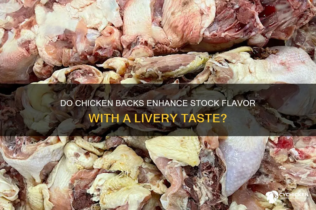 do chicken backs add livery taste to stock