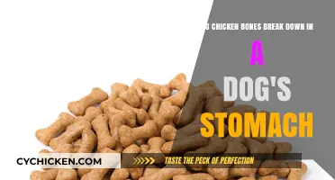 Can Dogs Digest Chicken Bones?