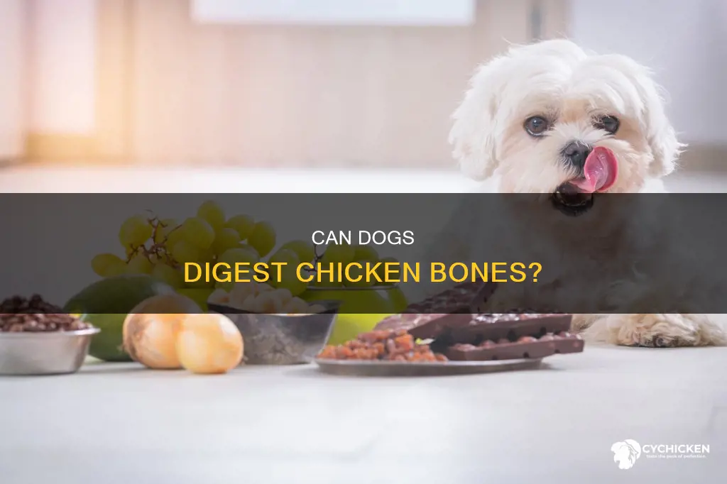 do chicken bones break down in a dog