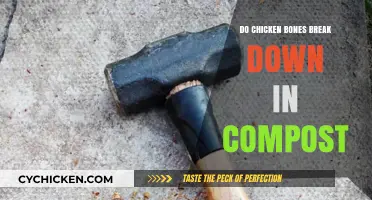 Can Chicken Bones Decompose in Compost? A Breakdown Guide