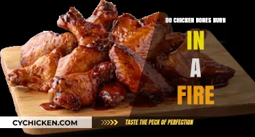 Can Chicken Bones Burn in a Fire? Surprising Facts Revealed
