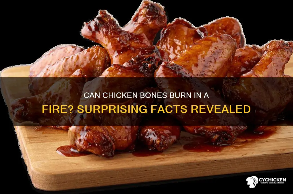 do chicken bones burn in a fire