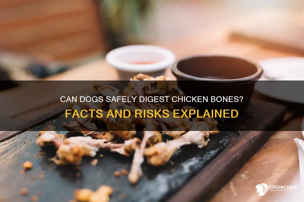 do chicken bones digest in dogs stomach