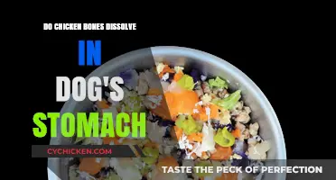 Can Chicken Bones Safely Dissolve in a Dog's Stomach?