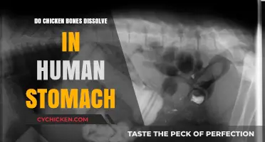 Can Chicken Bones Dissolve in Your Stomach? Facts vs. Fiction