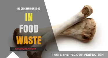 Chicken Bones in Food Waste: Eco-Friendly Disposal Tips and Tricks