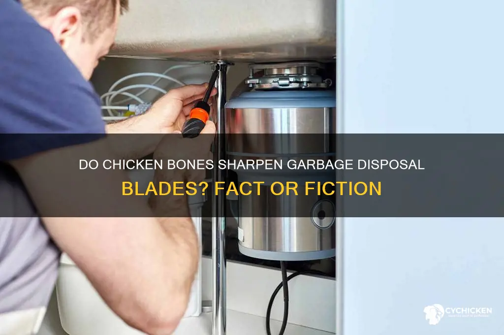 do chicken bones sharpen garbage disposal blades